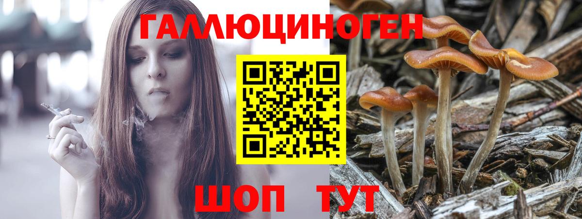 где можно купить   Псилоцибиновые грибы мухоморы  Вход с VPN  Галлюциногенные грибы MAGIC MUSHROOMS  Балтийск 